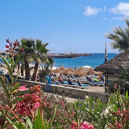 Apartament Light And Cosy In 100 Meters From The *